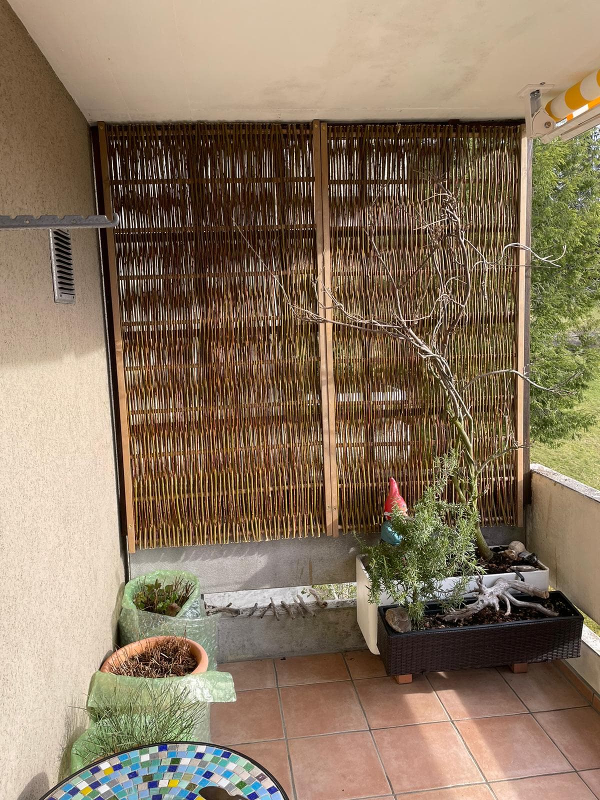 Image Component